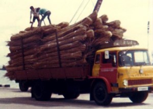 1983 3rd Party Logistics Warehousing Supply Chain distribution transportation container haulage 