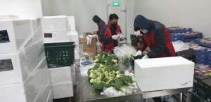 Chilled Cold Storage Warehousing Packing