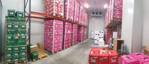 Chilled Cold Storage Warehousing
