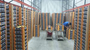 Chilled Cold Storage Warehousing